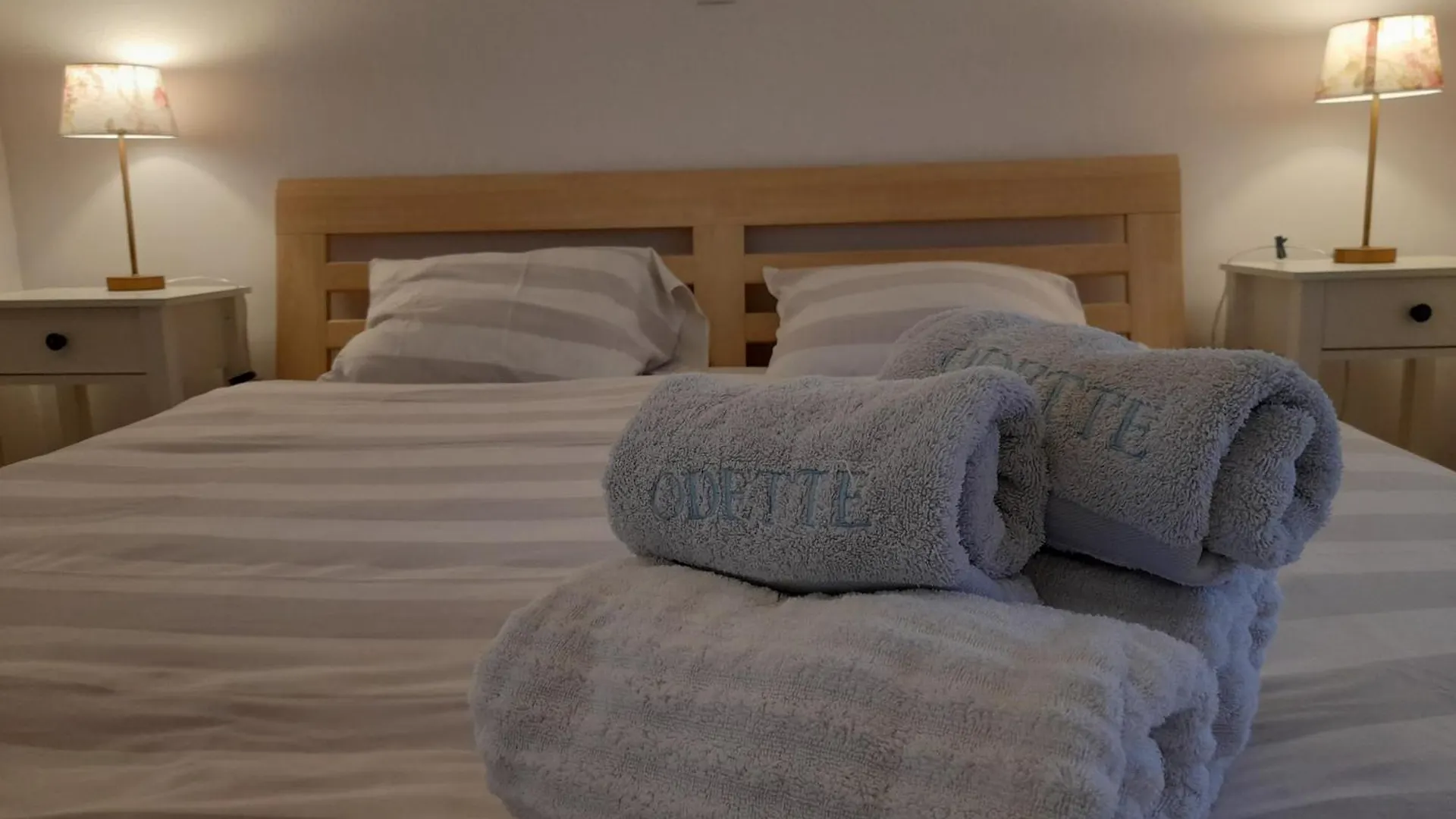 Odette Apartment Zadar